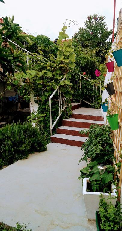 Sofia'S Way Apartments Jelsa  Kültér fotó